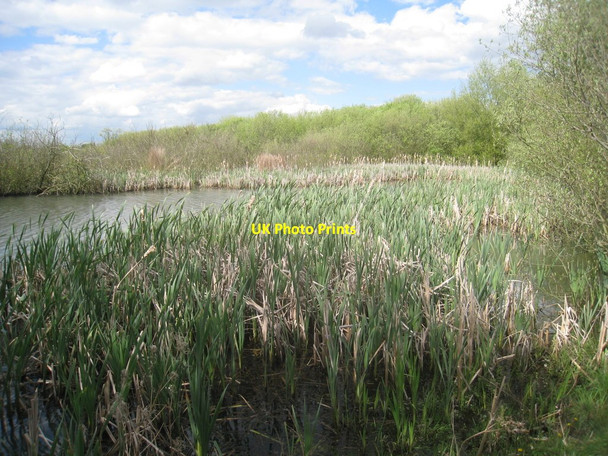 Photo 6"x4" Stanley Ferry flashes (6) Wakefield\/SE3320 c2012