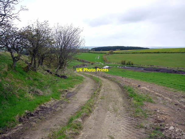 Photo 6"x4" Footpath north of Penny Hill Coalburns c2012