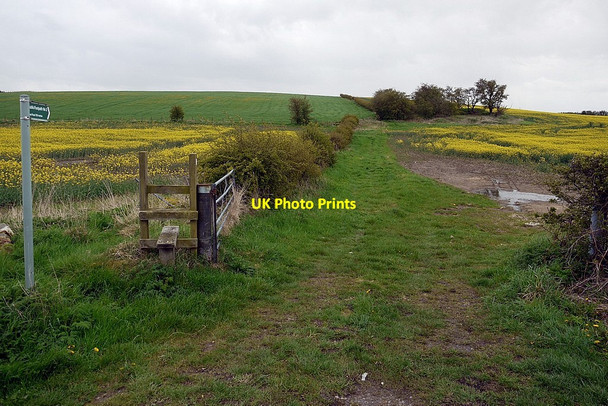 Photo 6"x4" Public footpath south of Buck's Nook Lane Prudhoe c2012