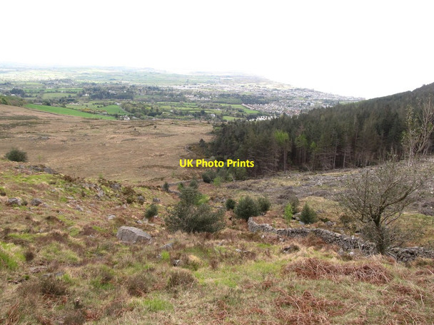 Photo 6"x4" View along the western edge of Donard Wood Newcastle\/J3732 c2012