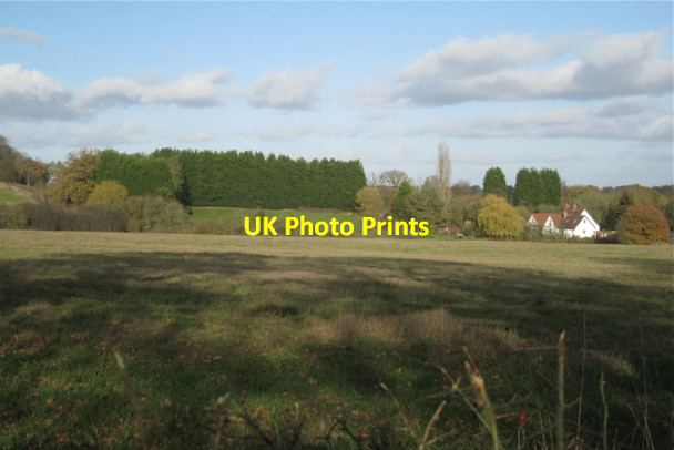 Photo 6"x4" Privacy by Leyland Blunt's Green c2011