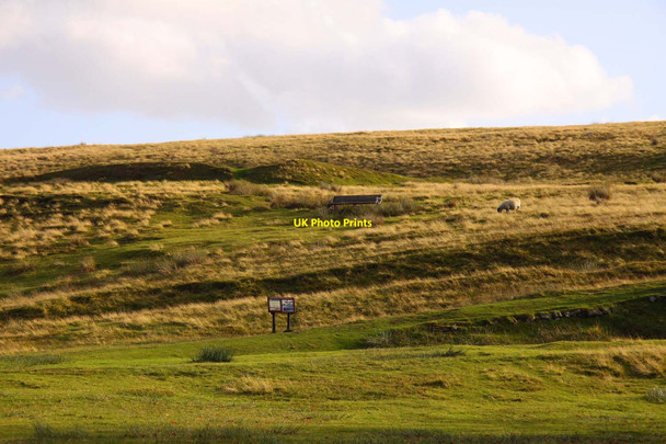 Photo 6"x4" Moss Rigg south of Goathland Goathland c2011