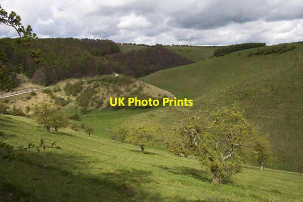 Photo 6"x4" Deep Dale, near Manna Green Bishop Wilton c2012