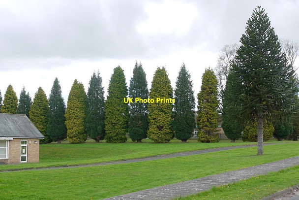 Photo 6"x4" Prudhoe Hospital grounds Prudhoe c2012