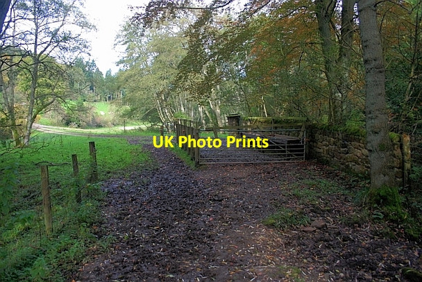 Photo 6"x4" Thornton dale Low Dalby c2011