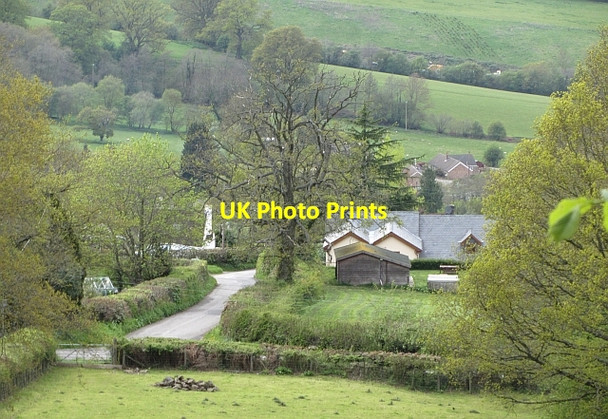 Photo 6"x4" Mitcheltroy Common Mitchel Troy c2012