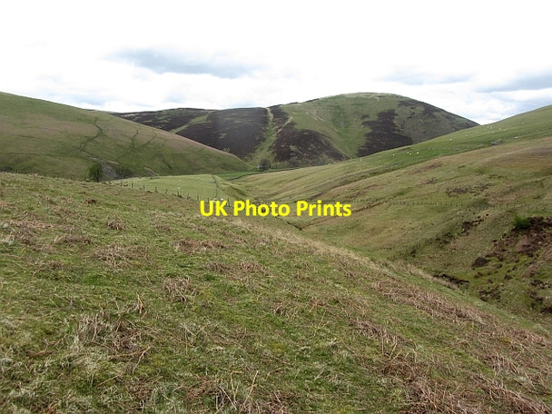 Photo 6"x4" Rough grazing, Cow Gill Coulter c2012