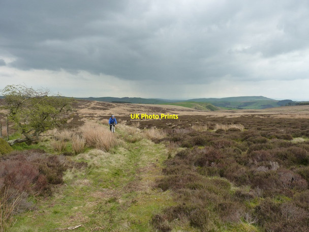 Photo 6"x4" Riding the bridleway from Rhŷd Caledwynt Tregeiriog\/SJ1733 c2012