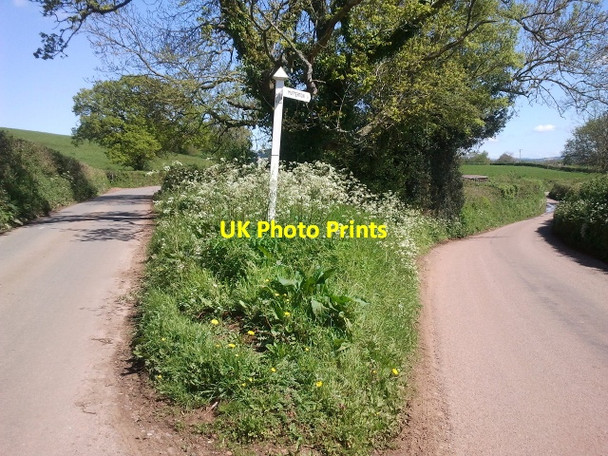 Photo 6"x4" A fork in the road on the way to Mutterton Westcott\/ST0204 c2012