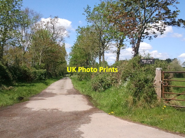 Photo 6"x4" Lane to Peradon Farm Higher Tale c2012