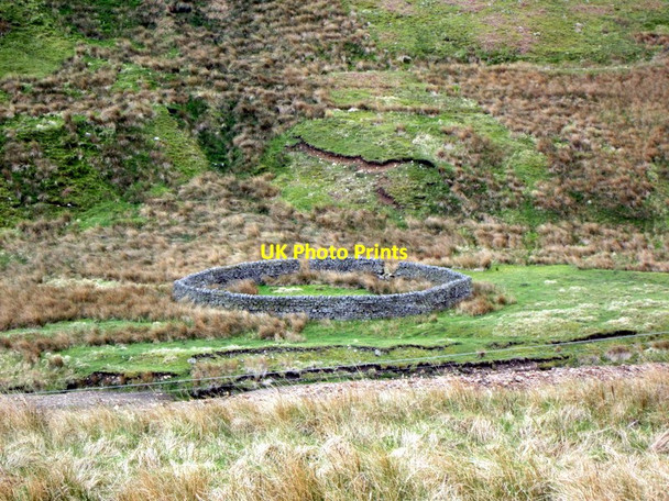 Photo 6"x4" The sheepford at Wolfcleugh Lintzgarth c2012