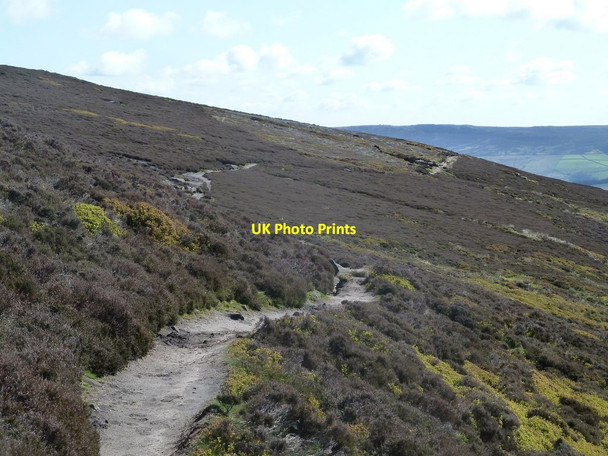 Photo 6"x4" Footpath across Rowland Cote Moor Grindsbrook Booth c2012