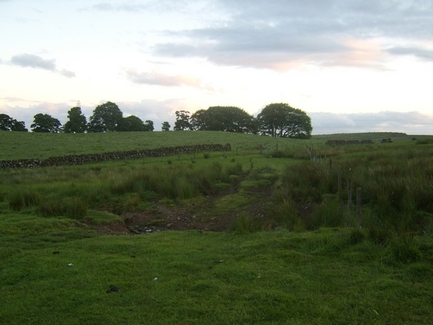 Photo 6"x4" Small burn to the west of Auchenduich Wood Bearsden c2008