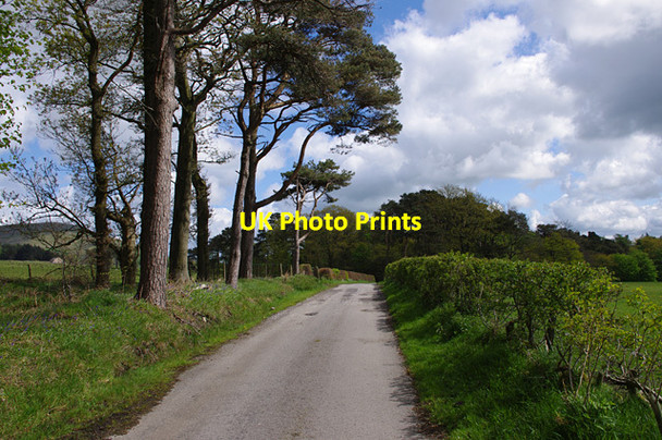 Photo 6"x4" Estate road near Brooks Bleasdale c2012