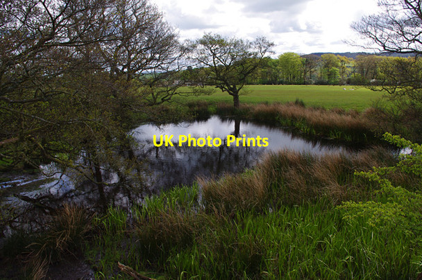 Photo 6"x4" Small pond near Bleasdale church Bleasdale c2012