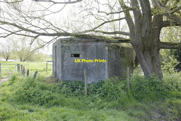 Photo 6"x4" Tree leaning on the top Eaton Hastings c2012