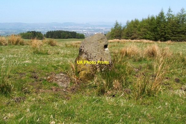 Photo 6"x4" Possible standing stone Foxbar c2012 P1