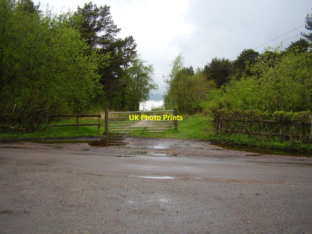Photo 6"x4" Gateway on East Hill Strips Ottery St Mary c2012