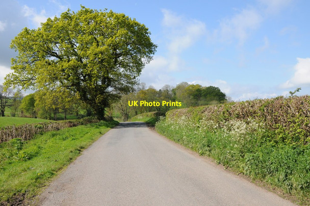 Photo 6"x4" Road to the south of Felindre Felindre\/SN7027 c2012