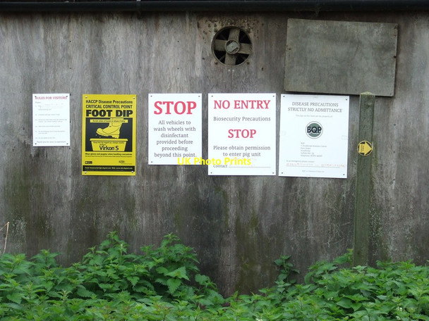 Photo 6"x4" Six Signs East End\/TM1559 c2012