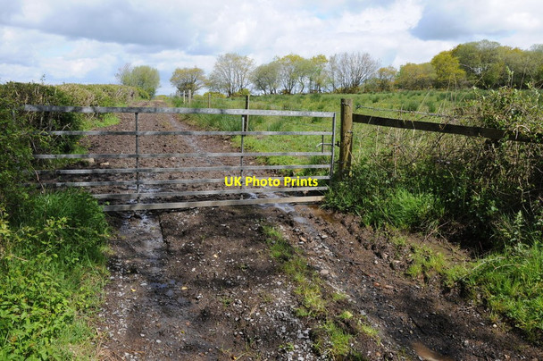 Photo 6"x4" Gate and track Pontbren Araeth c2012