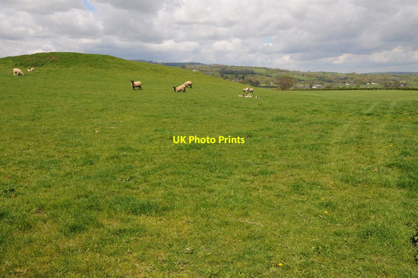 Photo 6"x4" Grazing land at Bethlehem Bethlehem c2012