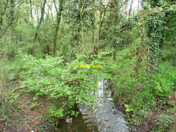 Photo 6"x4" Outflow from Shakerley Mere Allostock c2012