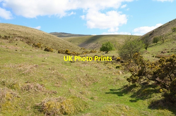 Photo 6"x4" Dartmoor Granite Meldon\/SX5592 c2012