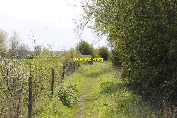 Photo 6"x4" Pillbox in sight Radcot c2012
