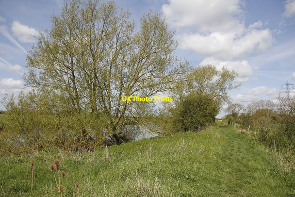 Photo 6"x4" Thames path to Grafton Lock Radcot c2012