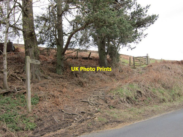 Photo 6"x4" A bridleway to Sinderhope Sinderhope c2012