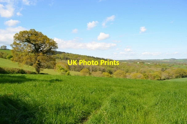 Photo 6"x4" View over Posbury Venny Tedburn c2012