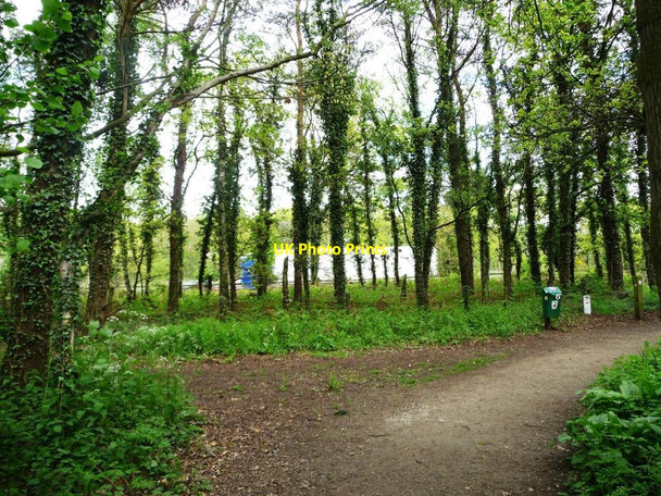 Photo 6"x4" Footpath at the northern end of Shakerley Mere Allostock c2012
