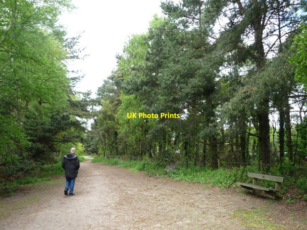 Photo 6"x4" Anti-clockwise walker, Shakerley Mere Allostock c2012