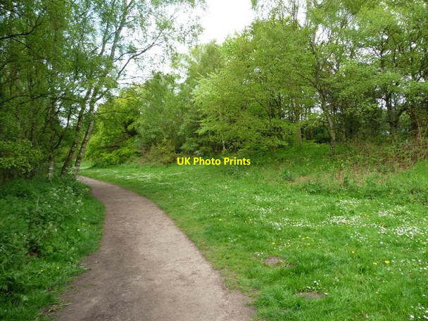 Photo 6"x4" Footpath at southern corner of Shakerley Mere Rudheath Woods c2012