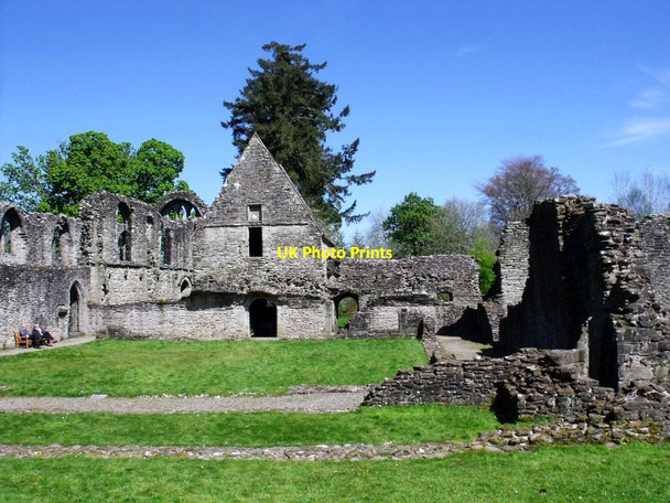 Photo 6"x4" Inchmahome Priory [5] Port of Menteith c2012