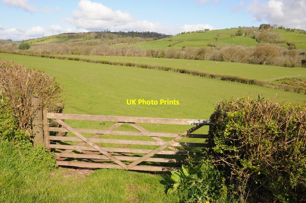 Photo 6"x4" Gate into a field in the Usk valley Pont ar Hydfer c2012