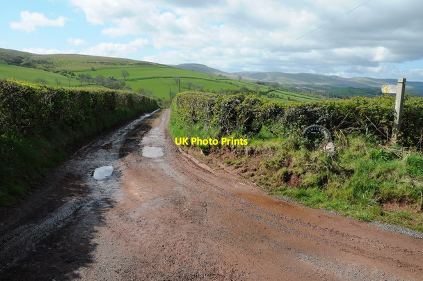 Photo 6"x4" Track to Blaenllechach  Talsarn\/SN7726 c2012