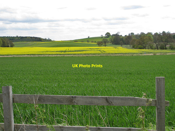 Photo 6"x4" Fertile fields on Ganthorpe Moor Ganthorpe c2012