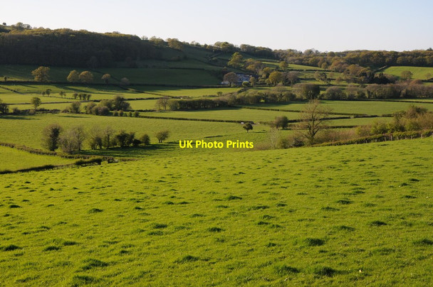 Photo 6"x4" Farmland near Myddfai Myrtle Hill\/SN7630 c2012