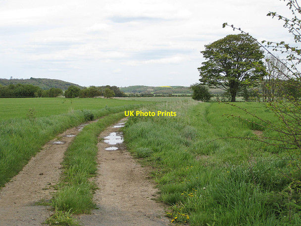 Photo 6"x4" Track into Sheriff Hutton Ings Sheriff Hutton c2012