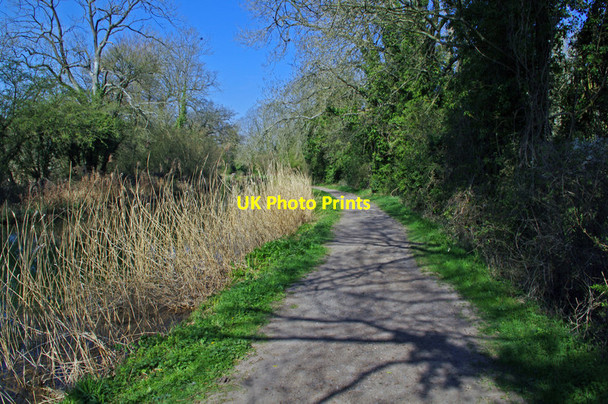Photo 6"x4" North Warnborough - Basingstoke Canal Greywell c2012