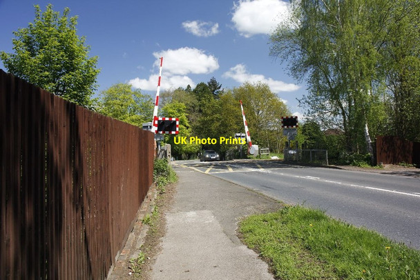 Photo 6"x4" Along the fence to the crossing Chilworth\/TQ0247 c2012