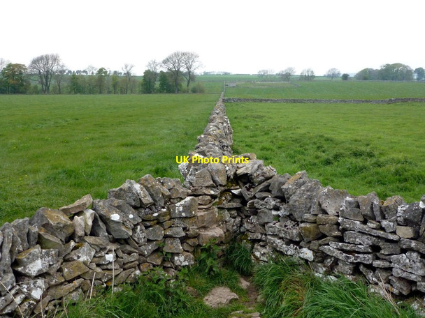 Photo 6"x4" Y-junction drystone walls Bakewell c2012