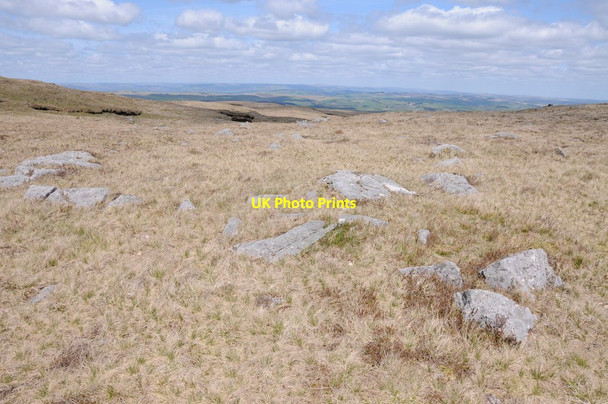 Photo 6"x4" Rough grassland near Llyn y Fan Fawr Moel Feity c2012