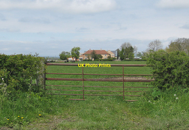 Photo 6"x4" Pasture south of Brawby Grange Brawby c2012