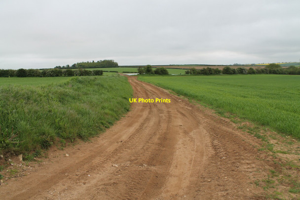 Photo 6"x4" Dirt Track, near The Beck Wilsford\/TF0043 c2012
