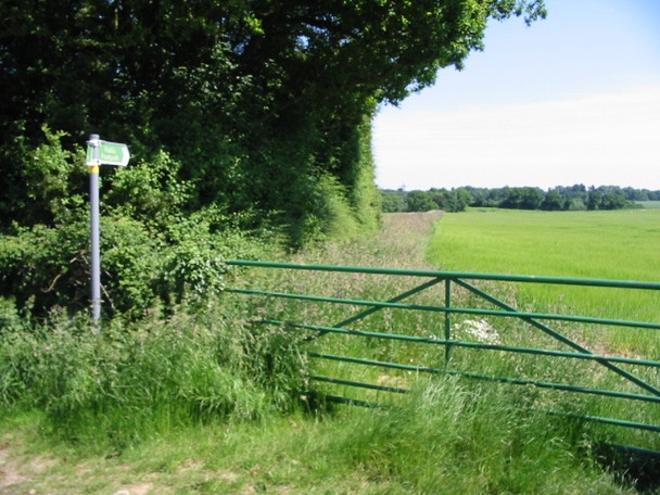 Photo 6"x4" Footpath along field boundary in direction of Acrise Place Elham c2008