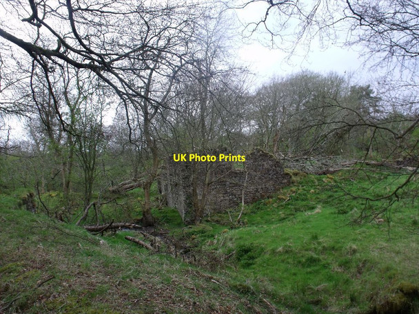Photo 6"x4" Easter Jaw, ruins [7] Crossburn\/NS8672 c2012
