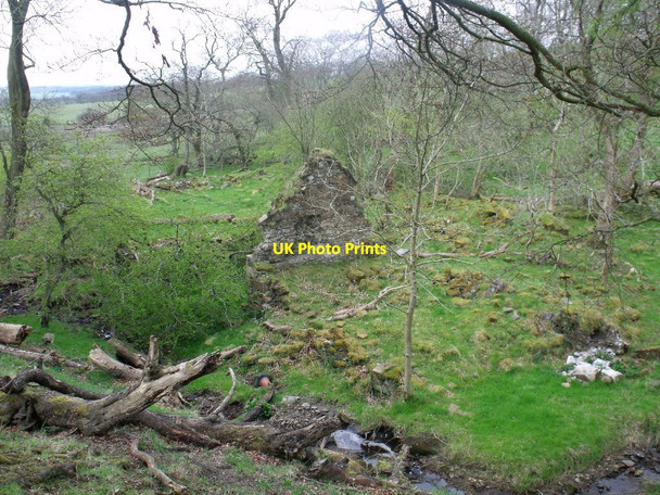 Photo 6"x4" Easter Jaw (ruins) [7] Crossburn\/NS8672 c2012